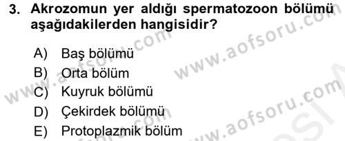 Doğum Bilgisi ve Suni Tohumlama Dersi 2015 - 2016 Yılı (Vize) Ara Sınav Soruları 3. Soru