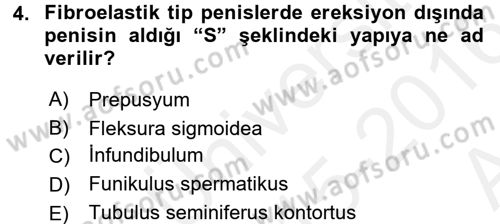 Doğum Bilgisi ve Suni Tohumlama Dersi 2015 - 2016 Yılı (Vize) Ara Sınav Soruları 4. Soru