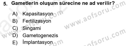 Doğum Bilgisi ve Suni Tohumlama Dersi 2015 - 2016 Yılı (Vize) Ara Sınav Soruları 5. Soru