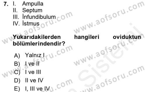 Doğum Bilgisi ve Suni Tohumlama Dersi 2015 - 2016 Yılı (Vize) Ara Sınavı 7. Soru