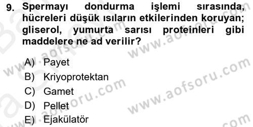 Doğum Bilgisi ve Suni Tohumlama Dersi 2015 - 2016 Yılı (Vize) Ara Sınav Soruları 9. Soru