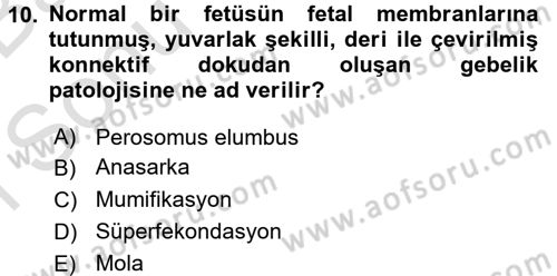 Doğum Bilgisi ve Suni Tohumlama Dersi 2015 - 2016 Yılı (Final) Dönem Sonu Sınav Soruları 10. Soru