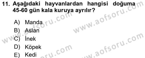 Doğum Bilgisi ve Suni Tohumlama Dersi 2015 - 2016 Yılı (Final) Dönem Sonu Sınav Soruları 11. Soru