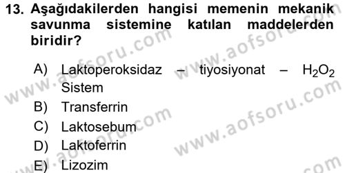 Doğum Bilgisi ve Suni Tohumlama Dersi 2015 - 2016 Yılı (Final) Dönem Sonu Sınav Soruları 13. Soru