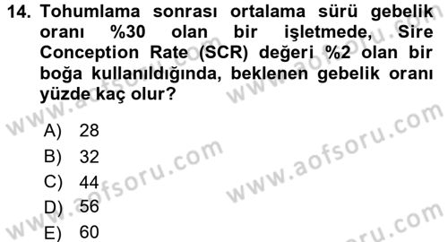 Doğum Bilgisi ve Suni Tohumlama Dersi 2015 - 2016 Yılı (Final) Dönem Sonu Sınav Soruları 14. Soru