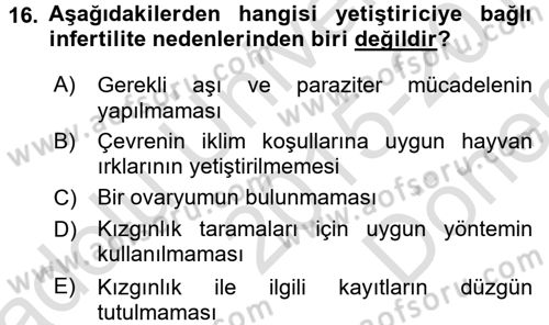 Doğum Bilgisi ve Suni Tohumlama Dersi 2015 - 2016 Yılı (Final) Dönem Sonu Sınav Soruları 16. Soru