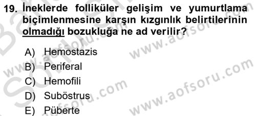 Doğum Bilgisi ve Suni Tohumlama Dersi 2015 - 2016 Yılı (Final) Dönem Sonu Sınav Soruları 19. Soru