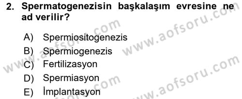 Doğum Bilgisi ve Suni Tohumlama Dersi 2015 - 2016 Yılı (Final) Dönem Sonu Sınav Soruları 2. Soru
