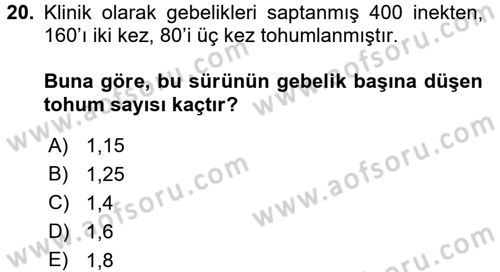 Doğum Bilgisi ve Suni Tohumlama Dersi 2015 - 2016 Yılı (Final) Dönem Sonu Sınav Soruları 20. Soru