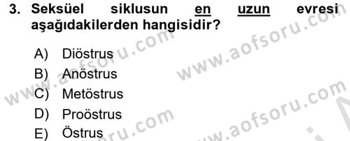 Doğum Bilgisi ve Suni Tohumlama Dersi 2015 - 2016 Yılı (Final) Dönem Sonu Sınav Soruları 3. Soru