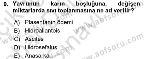 Doğum Bilgisi ve Suni Tohumlama Dersi 2015 - 2016 Yılı (Final) Dönem Sonu Sınav Soruları 9. Soru