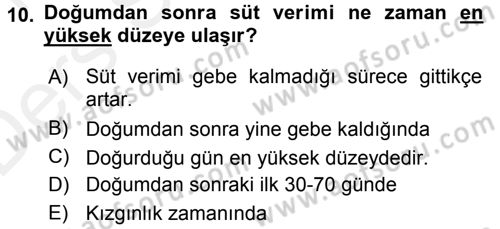 Doğum Bilgisi ve Suni Tohumlama Dersi 2015 - 2016 Yılı Tek Ders Sınavı 10. Soru