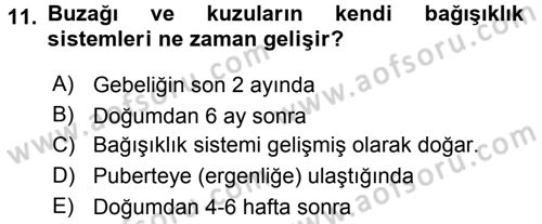 Doğum Bilgisi ve Suni Tohumlama Dersi 2015 - 2016 Yılı Tek Ders Sınavı 11. Soru