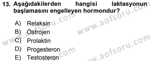 Doğum Bilgisi ve Suni Tohumlama Dersi 2015 - 2016 Yılı Tek Ders Sınavı 13. Soru