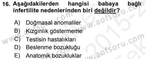 Doğum Bilgisi ve Suni Tohumlama Dersi 2015 - 2016 Yılı Tek Ders Sınavı 16. Soru