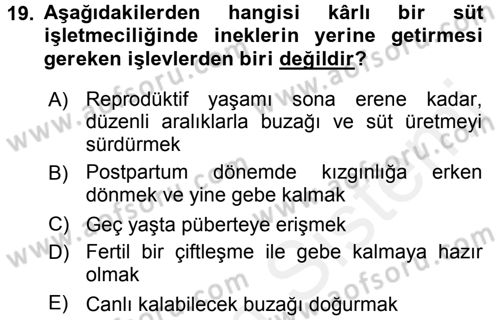 Doğum Bilgisi ve Suni Tohumlama Dersi 2015 - 2016 Yılı Tek Ders Sınavı 19. Soru