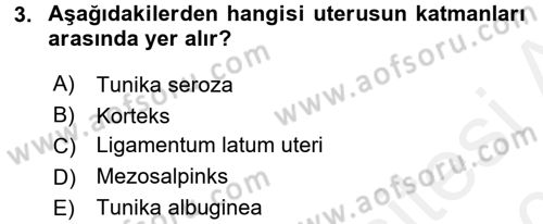 Doğum Bilgisi ve Suni Tohumlama Dersi 2015 - 2016 Yılı Tek Ders Sınavı 3. Soru