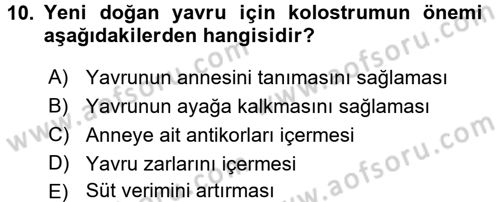Doğum Bilgisi ve Suni Tohumlama Dersi 2016 - 2017 Yılı 3 Ders Sınav Soruları 10. Soru