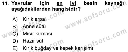 Doğum Bilgisi ve Suni Tohumlama Dersi 2016 - 2017 Yılı 3 Ders Sınav Soruları 11. Soru