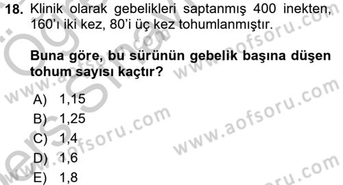 Doğum Bilgisi ve Suni Tohumlama Dersi 2016 - 2017 Yılı 3 Ders Sınav Soruları 18. Soru