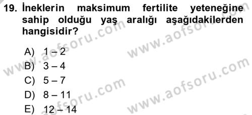 Doğum Bilgisi ve Suni Tohumlama Dersi 2016 - 2017 Yılı 3 Ders Sınav Soruları 19. Soru
