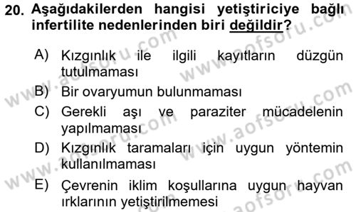 Doğum Bilgisi ve Suni Tohumlama Dersi 2016 - 2017 Yılı 3 Ders Sınav Soruları 20. Soru