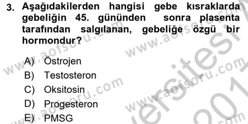 Doğum Bilgisi ve Suni Tohumlama Dersi 2016 - 2017 Yılı 3 Ders Sınav Soruları 3. Soru