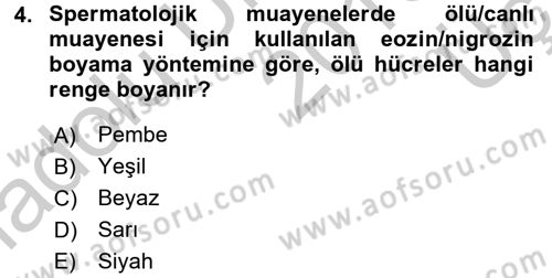 Doğum Bilgisi ve Suni Tohumlama Dersi 2016 - 2017 Yılı 3 Ders Sınav Soruları 4. Soru