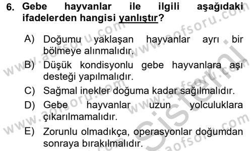 Doğum Bilgisi ve Suni Tohumlama Dersi 2016 - 2017 Yılı 3 Ders Sınav Soruları 6. Soru