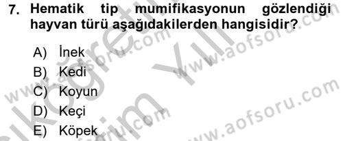 Doğum Bilgisi ve Suni Tohumlama Dersi 2016 - 2017 Yılı 3 Ders Sınav Soruları 7. Soru