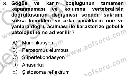 Doğum Bilgisi ve Suni Tohumlama Dersi 2016 - 2017 Yılı 3 Ders Sınav Soruları 8. Soru