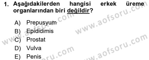 Doğum Bilgisi ve Suni Tohumlama Dersi 2016 - 2017 Yılı (Vize) Ara Sınav Soruları 1. Soru