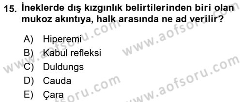 Doğum Bilgisi ve Suni Tohumlama Dersi 2016 - 2017 Yılı (Vize) Ara Sınav Soruları 15. Soru