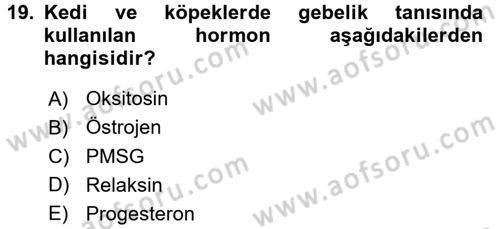 Doğum Bilgisi ve Suni Tohumlama Dersi 2016 - 2017 Yılı (Vize) Ara Sınav Soruları 19. Soru