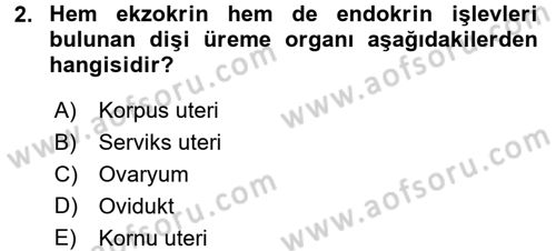 Doğum Bilgisi ve Suni Tohumlama Dersi 2016 - 2017 Yılı (Vize) Ara Sınavı 2. Soru