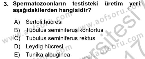 Doğum Bilgisi ve Suni Tohumlama Dersi 2016 - 2017 Yılı (Vize) Ara Sınav Soruları 3. Soru