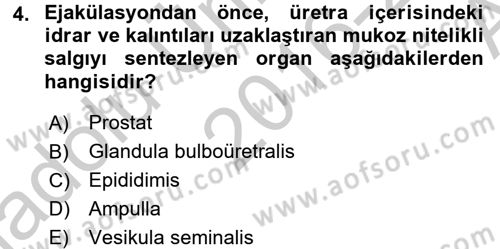 Doğum Bilgisi ve Suni Tohumlama Dersi 2016 - 2017 Yılı (Vize) Ara Sınav Soruları 4. Soru