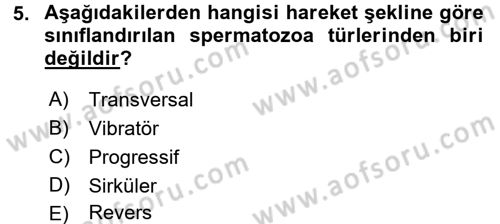 Doğum Bilgisi ve Suni Tohumlama Dersi 2016 - 2017 Yılı (Vize) Ara Sınav Soruları 5. Soru