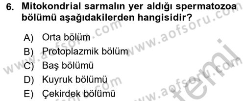 Doğum Bilgisi ve Suni Tohumlama Dersi 2016 - 2017 Yılı (Vize) Ara Sınav Soruları 6. Soru