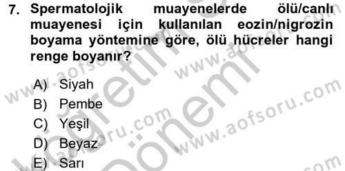 Doğum Bilgisi ve Suni Tohumlama Dersi 2016 - 2017 Yılı (Vize) Ara Sınav Soruları 7. Soru