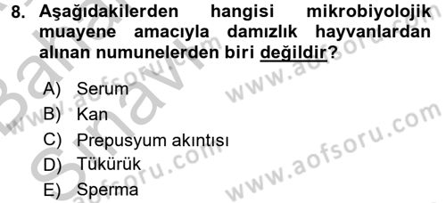 Doğum Bilgisi ve Suni Tohumlama Dersi 2016 - 2017 Yılı (Vize) Ara Sınav Soruları 8. Soru