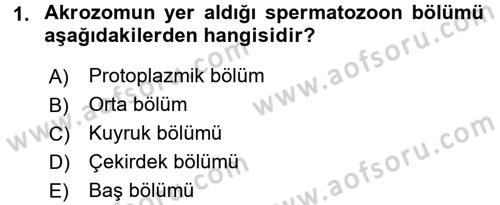 Doğum Bilgisi ve Suni Tohumlama Dersi 2016 - 2017 Yılı (Final) Dönem Sonu Sınav Soruları 1. Soru