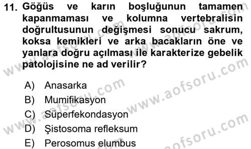Doğum Bilgisi ve Suni Tohumlama Dersi 2016 - 2017 Yılı (Final) Dönem Sonu Sınav Soruları 11. Soru