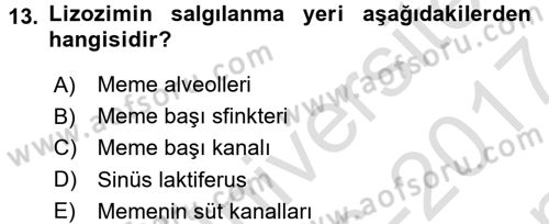 Doğum Bilgisi ve Suni Tohumlama Dersi 2016 - 2017 Yılı (Final) Dönem Sonu Sınav Soruları 13. Soru
