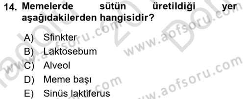Doğum Bilgisi ve Suni Tohumlama Dersi 2016 - 2017 Yılı (Final) Dönem Sonu Sınav Soruları 14. Soru