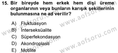 Doğum Bilgisi ve Suni Tohumlama Dersi 2016 - 2017 Yılı (Final) Dönem Sonu Sınav Soruları 15. Soru