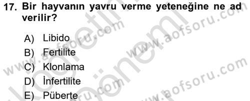 Doğum Bilgisi ve Suni Tohumlama Dersi 2016 - 2017 Yılı (Final) Dönem Sonu Sınav Soruları 17. Soru