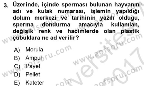Doğum Bilgisi ve Suni Tohumlama Dersi 2016 - 2017 Yılı (Final) Dönem Sonu Sınav Soruları 3. Soru