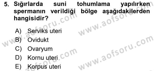 Doğum Bilgisi ve Suni Tohumlama Dersi 2016 - 2017 Yılı (Final) Dönem Sonu Sınavı 5. Soru