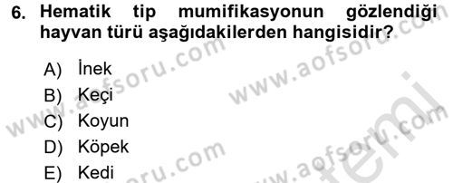 Doğum Bilgisi ve Suni Tohumlama Dersi 2016 - 2017 Yılı (Final) Dönem Sonu Sınav Soruları 6. Soru